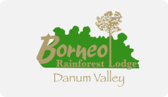 borneo rainforest lodge - Sabah Web Design