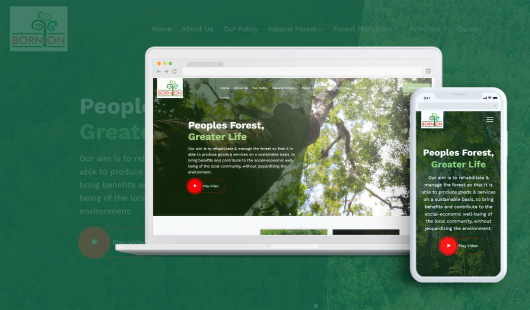 portfolio bornion timber - Sabah Web Design