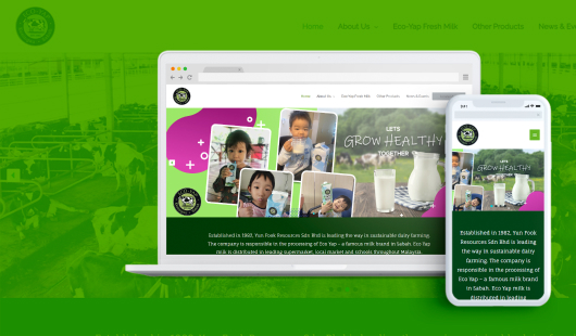 portfolio eco yap - Sabah Web Design